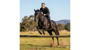 12 Google Gemini AI Photo Editing Prompts for Boys to Create Realistic, Stylish Cinematic Outdoor Portraits image